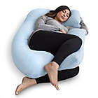 Alternate image 2 for Pharmedoc&reg; Maternity Body Pillow in Light Blue