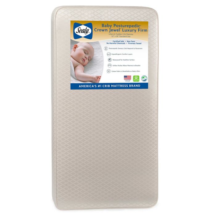 Sealy Cozy Dreams Extra Firm Crib Toddler Mattress Sealy Baby
