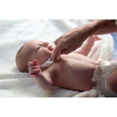 Babyganics&reg; 80-Count Fragrance-Free Baby Wipes. View a larger version of this product image.