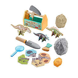 Fisher-Price® Dinosaur Discovery™ Playset