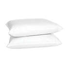 Alternate image 0 for 4earth&trade; 2-Pack Eco-Friendly Organic Cotton Standard Bed Pillows