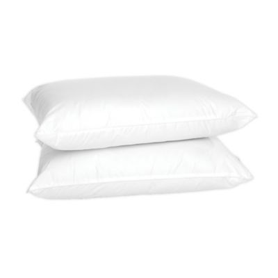 4earth&trade; 2-Pack Eco-Friendly Organic Cotton Standard Bed Pillows