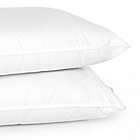 Alternate image 2 for 4earth&trade; 2-Pack Eco-Friendly Organic Cotton Standard Bed Pillows
