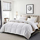 Alternate image 3 for Serta&reg; Goose Feather and White Goose Down Full/Queen Comforter in White