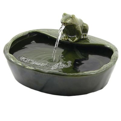 bed bath and beyond pet fountain