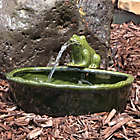 Alternate image 1 for Sunnydaze Decor Ceramic Solar Frog Outdoor Water Fountain in Green with Pump