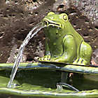 Alternate image 4 for Sunnydaze Decor Ceramic Solar Frog Outdoor Water Fountain in Green with Pump