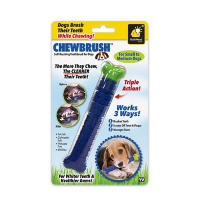 dog rubber toothbrush