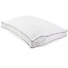 Alternate image 0 for Wamsutta&reg; Dreamzone&reg; Egyptian Cotton 2 Pack King Pillow Protector
