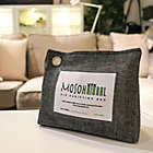 Alternate image 1 for Moso Natural 600-Gram Air Purifying Bag in Charcoal