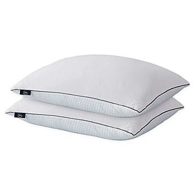 Serta&reg; 2-Pack Summer and Winter White Goose Feather Bed Pillows. View a larger version of this product image.