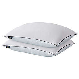 Serta® 2-Pack Summer and Winter White Goose Feather Bed Pillows