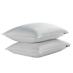 Serta® 2-Pack Goose Feather and Down Bed Pillows