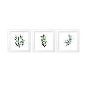 goumi&reg; Organic Cotton 3-Piece Botanical Framed Wall Art Set in White