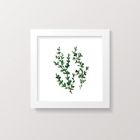 Alternate image 1 for goumi&reg; Organic Cotton 3-Piece Botanical Framed Wall Art Set in White