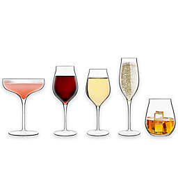 Luigi Bormioli Vinea Wine Glass Collection