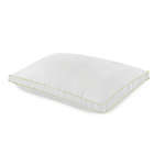 Alternate image 0 for BioPEDIC Ultra-Fresh 2-Pack King Pillows