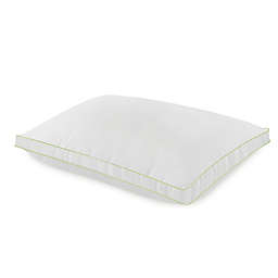 BioPEDIC Ultra-Fresh 2-Pack Queen Pillows
