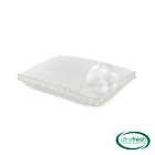 Alternate image 1 for BioPEDIC Ultra-Fresh 2-Pack King Pillows