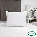 Alternate image 2 for BioPEDIC Ultra-Fresh 2-Pack King Pillows