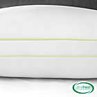 Alternate image 5 for BioPEDIC Ultra-Fresh 2-Pack King Pillows
