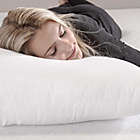 Alternate image 2 for Ultra-Fresh 4-Pack Cotton Standard Bed Pillows
