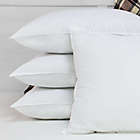 Alternate image 6 for Ultra-Fresh 4-Pack Cotton Standard Bed Pillows