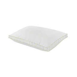 BioPEDIC® Ultra-Fresh Nanotex 2-Pack Standard Bed Pillows