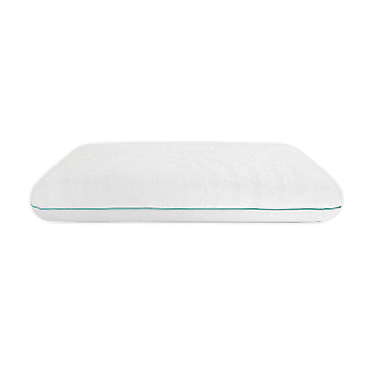 Alternate image 1 for SensorPEDIC Fresh Eucalyptus Infused Memory Foam Pillow