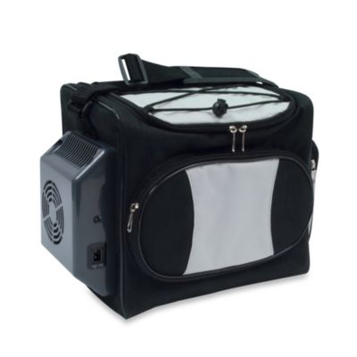 12 volt lunch box cooler