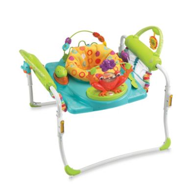 buy buy baby jumperoo