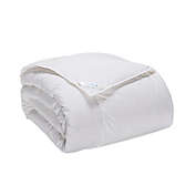 Nestwell&trade; Extra Warmth White Down Comforter