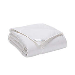 Nestwell™ Light Warmth White Down Twin Comforter in White