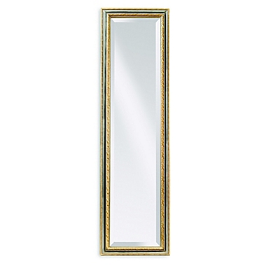 Bassett Mirror Company Regis Cheval 64-Inch x 18-Inch Mirror in Silver/Gold. View a larger version of this product image.