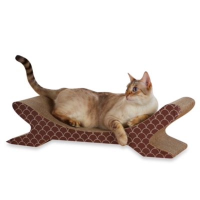 cardboard cat scratcher pets at home