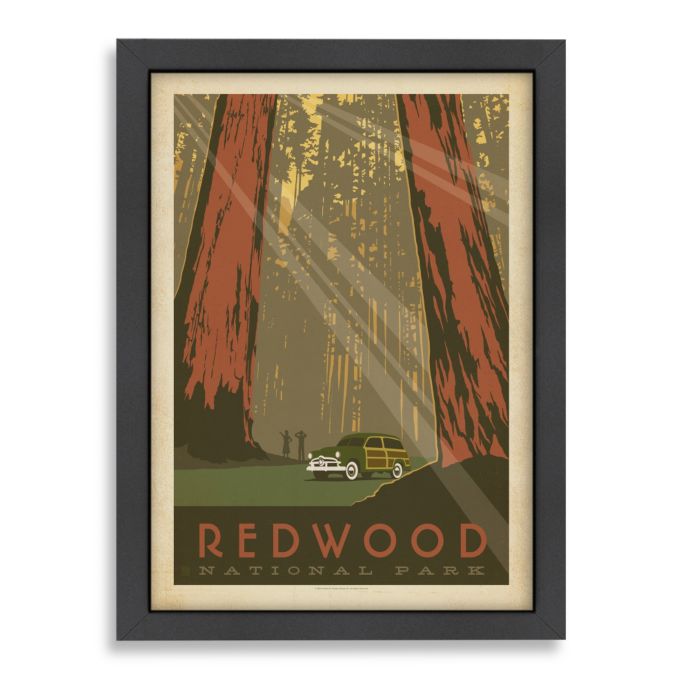 Americanflat Redwood Trees Framed Wall Art Bed Bath Beyond