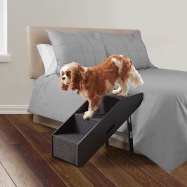 Pawslife&reg; Deluxe Collapsible Pet Step/Ramp in Black. View a larger version of this product image.