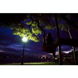 Sarasota Bed Bath Beyond