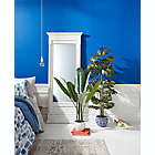 Alternate image 1 for W Home 60-Inch Split Philo Tree in Round Blue/White Ceramic Pot