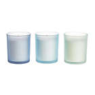 Alternate image 0 for Bee &amp; Willow&trade; Alpine Chamomile 3.5 oz. Spring Glass Candles (Set of 3)
