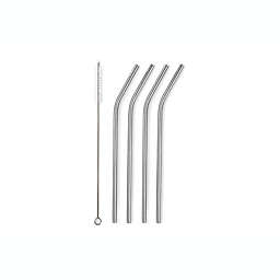 Our Table™ 5-Piece Stainless Steel Straw and Straw Brush Set