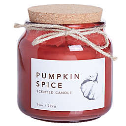 Pumpkin Spice 14 oz. Large Jar Candle