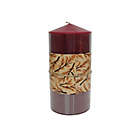 Alternate image 4 for Harvest Unscented Medium Pillar Candle in Red