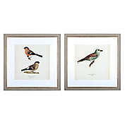 Bee & Willow&trade; Birds 30-Inch x 30-Inch Framed Wall Art (Set of 2)
