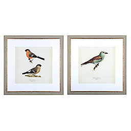 Bee & Willow™ Birds 30-Inch x 30-Inch Framed Wall Art (Set of 2)