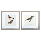 Alternate image 0 for Bee & Willow&trade; Birds 30-Inch x 30-Inch Framed Wall Art (Set of 2)