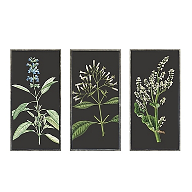 Bee &amp; Willow&trade; Botanical Embellished Framed Canvas Wall Art (Set of 3). View a larger version of this product image.
