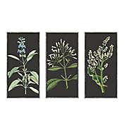 Bee &amp; Willow&trade; Botanical Embellished Framed Canvas Wall Art (Set of 3)
