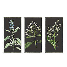 Bee & Willow™ Botanical Embellished Framed Canvas Wall Art (Set of 3)