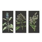 Alternate image 0 for Bee &amp; Willow&trade; Botanical Embellished Framed Canvas Wall Art (Set of 3)